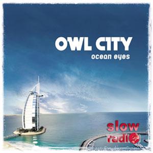 Owl City - Fireflies